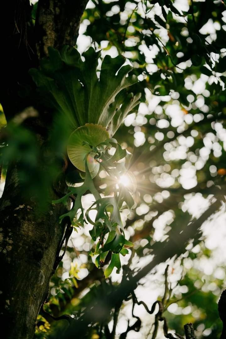Harmony Garden - Home And Coffee Hue Bagian luar foto